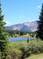 Little Molas Lake Through the Trees