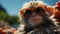 Little monkey in sunglasses on the beach resting, close-up face. AI generated