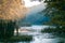 Little natural lake in forest, foggy morning beautiful sunrise, summer, sun rays on big trees, still water surface, nature