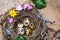 Little nest with spring easter eggs - still life