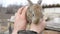 A little new born rabbit in the hands of a male farmer on outside