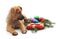 Little New Year puppy with toys and gifts.