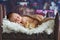 Little newborn baby boy, sleeping in wooden baby bed with little chick