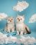 Little newborn fluffy adorable kittens sitting together among white clouds on a blue background.