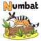 Little numbat for ABC. Alphabet N