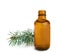 Little open bottle with essential oil and pine branch