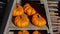 Little orange pumpkins on a wooden shelf, closeup crop crop of farm vegetables squash. Ripe sunny yellow pumpkin for halloween