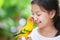 Little parrot birds standing on woman hand. Asian teenager girl play with her pet parrot bird with fun and love