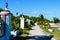 Little Path with Palms and Plants on a Caribbean Island, Caye Caulker, Belize