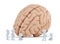 Little people around giant brain. Isolated. Contains clipping path