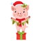 Little Pig Holding Garland With Text. Cute Cartoon Happy Pig In Santa Hat.