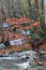 Little Pigeon River at the end of Autumn in Greenbrier in the Great Smoky Mountains