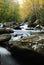 Little Pigeon River in Smoky Mountains