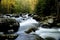 Little Pigeon River in Smoky Mountains