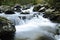 Little Pigeon River in Smoky Mountains