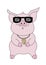 Little piggy in sunglasses with a chain around his neck and a bitcoin pendant.