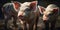 Little piglets close-up, agriculture theme. Pink pig. Generative AI