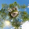 Little planet. Spherical aerial view in forest near vacation home in nice day with nice clouds