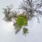 Little planet spherical panorama 360 degrees. Spherical aerial view  in blooming apple garden orchard with dandelions. Curvature