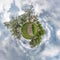 Little planet spherical panorama 360 degrees. Spherical aerial view  in blooming apple garden orchard with dandelions. Curvature