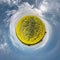 Little planet spherical panorama 360 degrees. Spherical aerial view  in blooming in field rapseed canola colza. Curvature of space