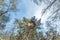 Little planet spherical panorama 360 degrees. Spherical aerial view in forest in nice day. Curvature of space