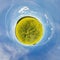 Little planet. Spherical view in a field near a road with rapeseed in sunny day