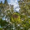 Little planet transformation of spherical panorama 360 degrees. Spherical abstract aerial view in piny forest. Curvature of space