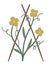 Little plant isolated on white background. Flat spring illustration. Gardening