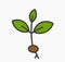 Little plant seedling icon