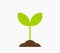 Little plant seedling icon. Spring plant