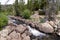 Little Popo Agie River, near Lander, Wyoming, with calm water