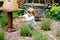 Little preschool girl cutting lavender flowers in domestic garden. Happy little child working with scissors. Children