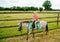 Little preschool girl riding a pony on a farm. Happy lovely child practicing horseback riding. Outdoor summer activities