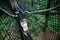 Little preschool girl walking on high tree-canopy trail with wooden walkway and ropeways. Happy active child exploring