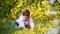 Little pretty baby-girl sitting on green grass in the park at the sunset