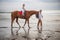 Little pretty girl on a horse. Father leading horse by its reins on the beach. Horse riding by the sea. Family concept. Father`s