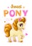 Little pretty pony girl.