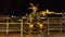 Little Princess Statue in bright evening lights, Budapest, Hungary