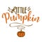 Little Pumpkin - Hand drawn vector illustration.