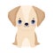 Little puppy dog domestic sitting cartoon pets