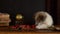 Little puppy plays with Christmas decorations, lying on an antique dresser.