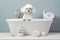 Little Puppy Poodle Having Bath. AI generative