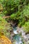 Little Qualicum Falls on Vancouver Island, Canada