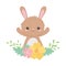 Little rabbit flowers leaves foliage cartoon animal