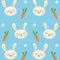 Little Rabbit Pattern with Cute Carrots