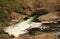 Little River in Great Smokey Mountains National Park