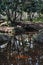 Little River inside the Broceliande Forest