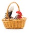 Little rooster in a basket.