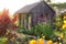 Little Rustic Cottage Like Garden Shed Surrounded By Colorful Summer Flowers